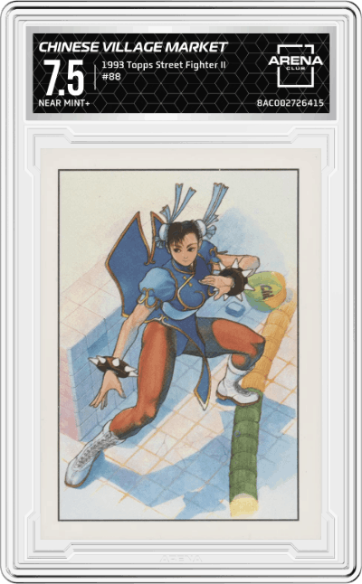 Chinese Village Market