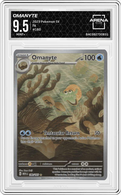 Omanyte
