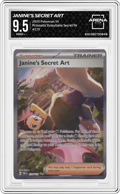 Janine's Secret Art