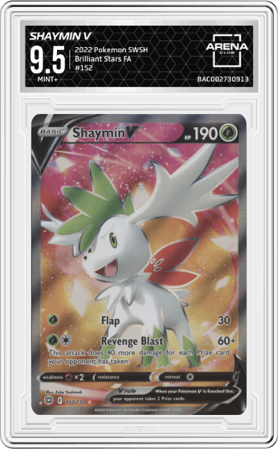 Shaymin V