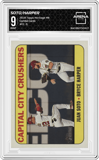 Juan Soto / Bryce Harper