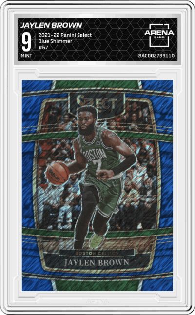 Jaylen Brown