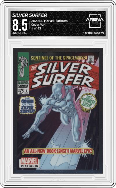Silver Surfer