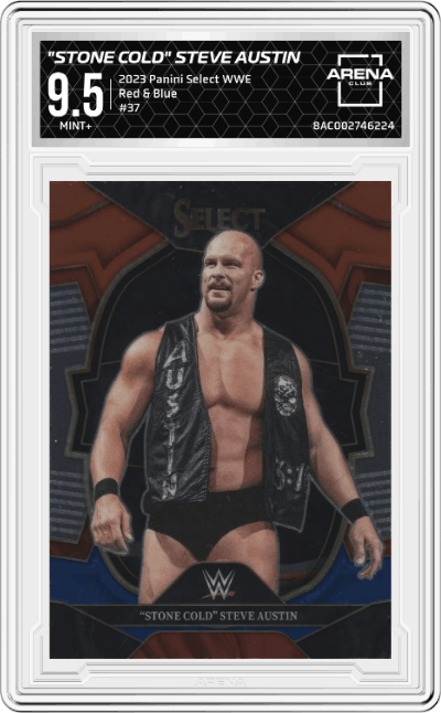 "Stone Cold" Steve Austin