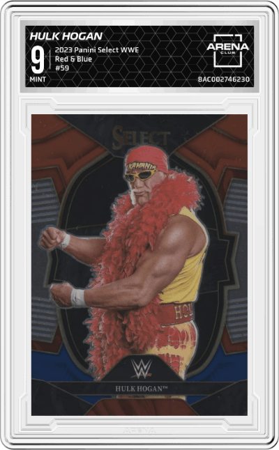 Hulk Hogan