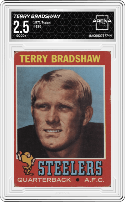 Terry Bradshaw