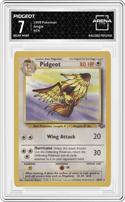 Pidgeot