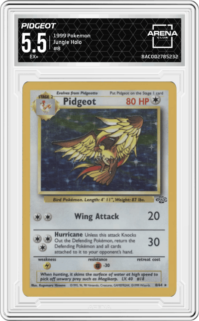 Pidgeot