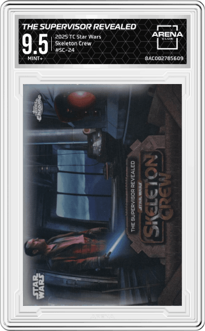 The Supervisor Revealed