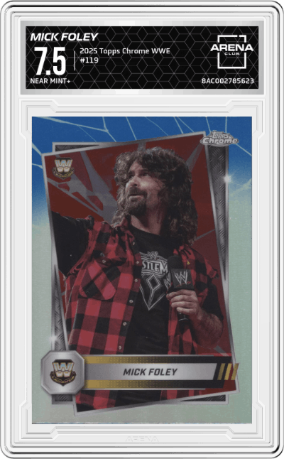Mick Foley
