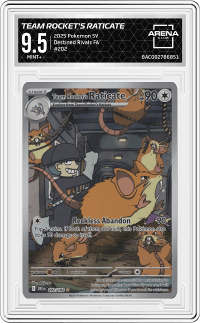 Team Rocket's Raticate