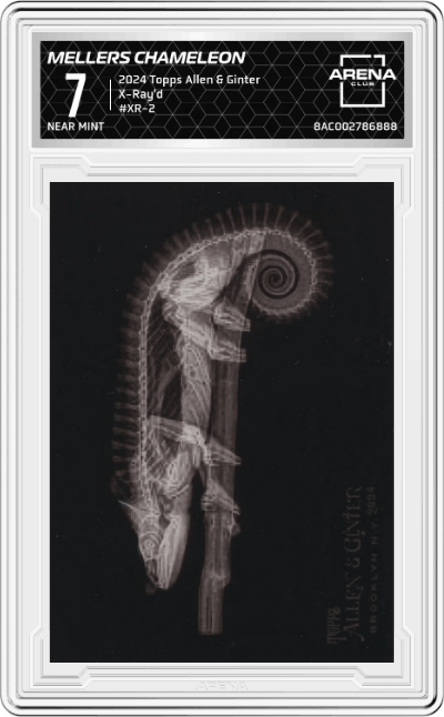 Mellers Chameleon