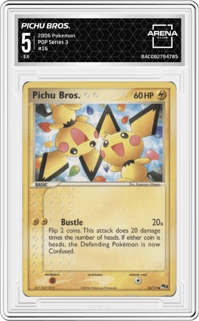 Pichu Bros.