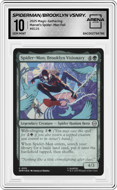 Spider-Man, Brooklyn Visionary