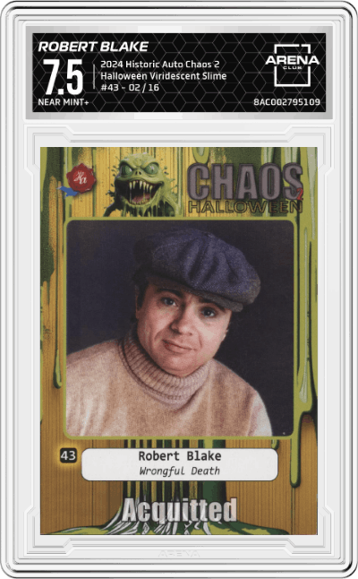 Robert Blake: Wrongful Death