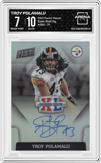 Troy Polamalu