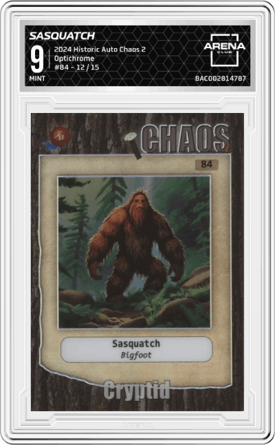 Sasquatch: Bigfoot