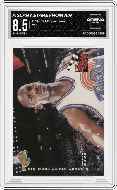 A Scary Stare from Air