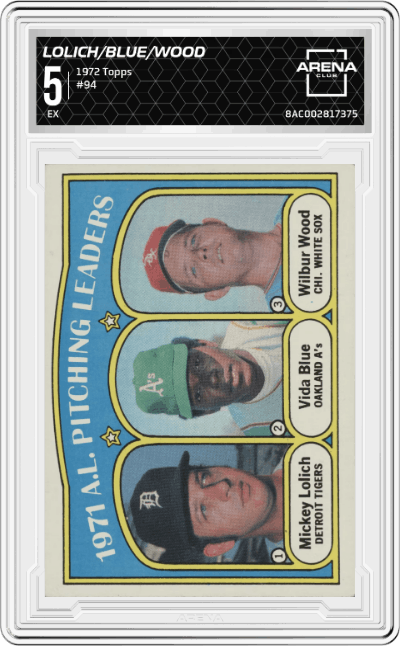 AL 1971 Pitching Leaders