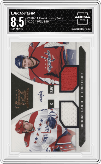 Brooks Laich/Eric Fehr 