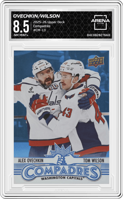 Alex Ovechkin/Tom Wilson