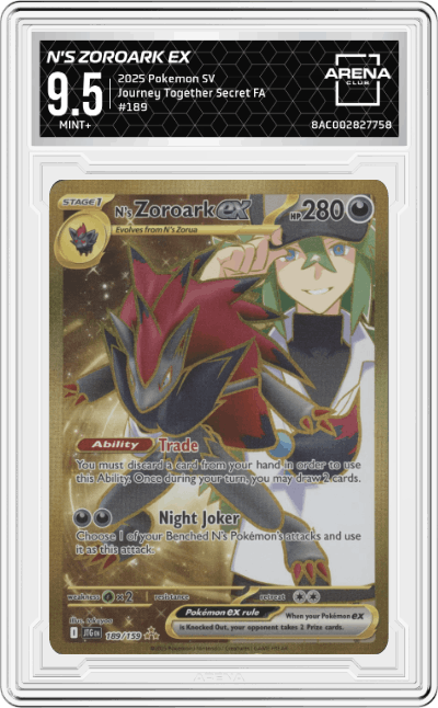 N's Zoroark ex