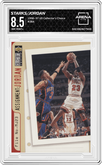 John Starks/Michael Jordan