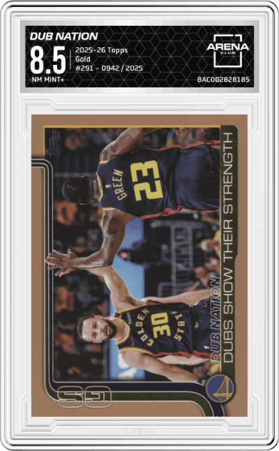 Dubs Nation: Dubs Show Their Strength