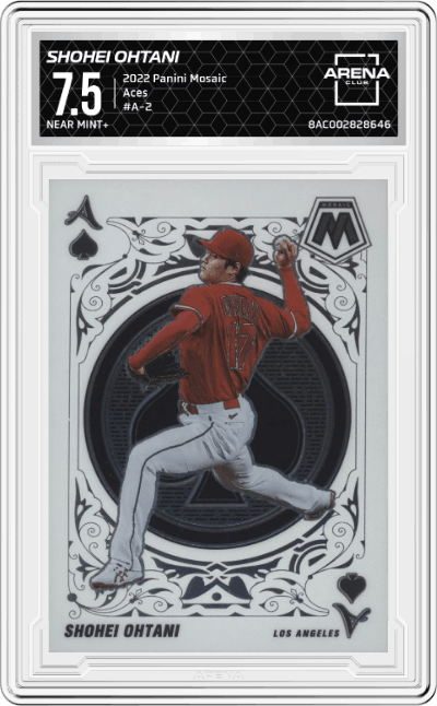 Shohei Ohtani