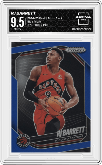 RJ Barrett 