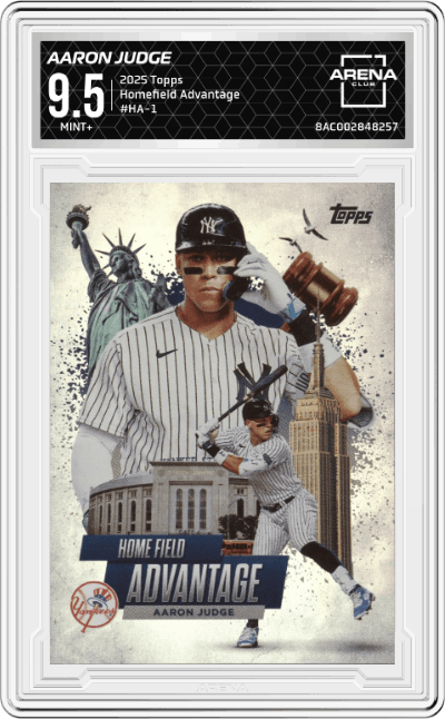 Aaron Judge