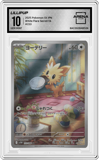 Lillipup