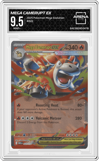 Mega Camerupt ex