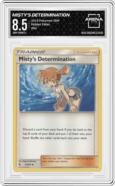 Misty's Determination