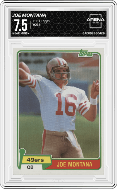 Joe Montana