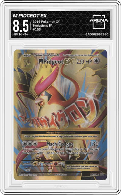 M Pidgeot EX