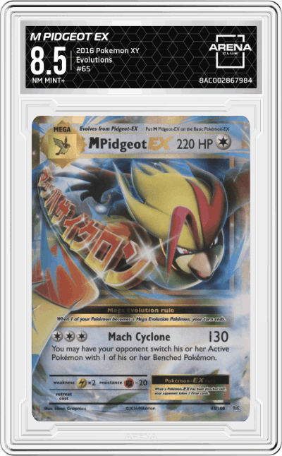 M Pidgeot EX