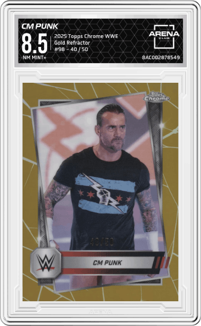 CM Punk 