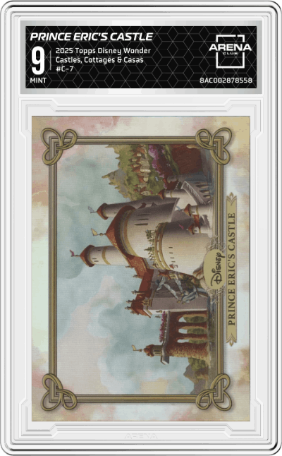 Prince Eric's Castle 