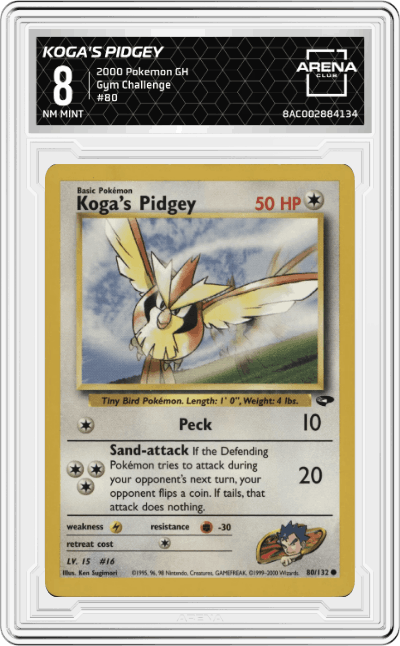 Koga's Pidgey