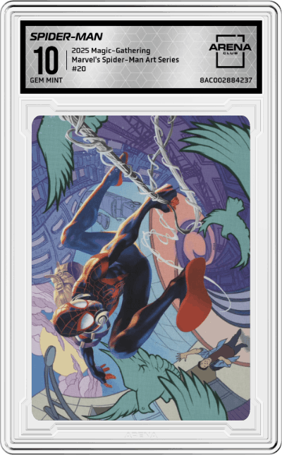 Spider-Man, Brooklyn Visionary