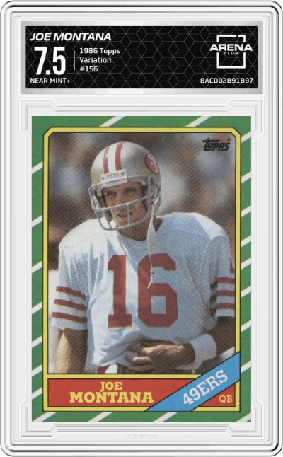 Joe Montana
