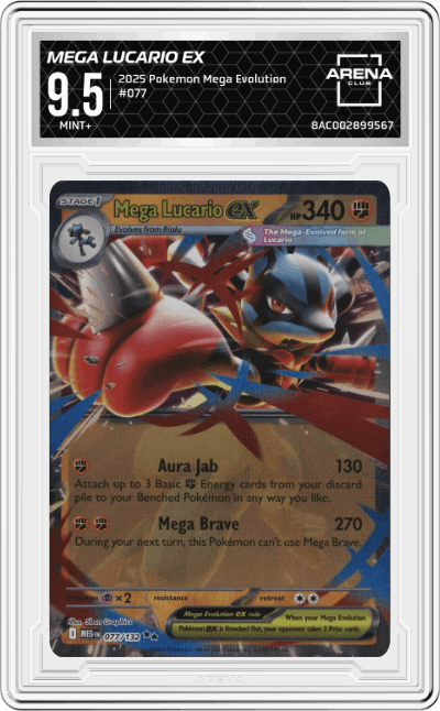 Mega Lucario ex