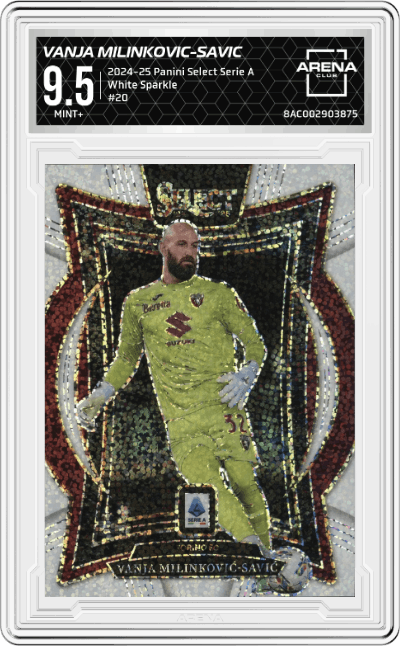 Vanja Milinkovic-Savic