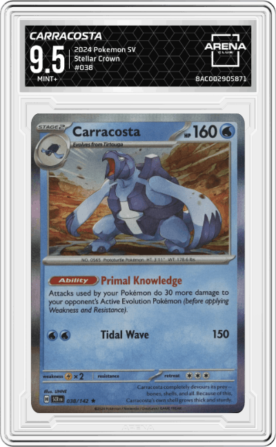 Carracosta