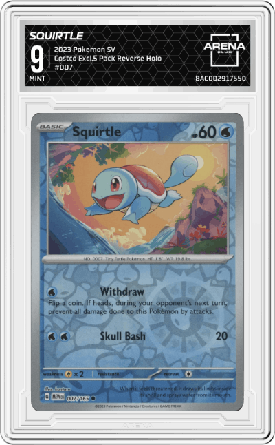 Squirtle