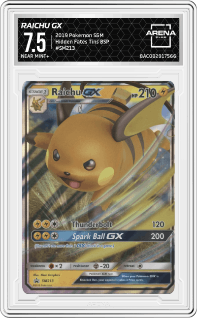 Raichu GX