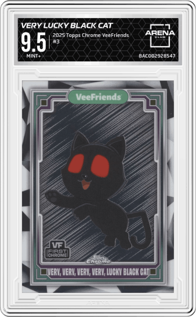 Very, Very, Very, Very Lucky Black Cat