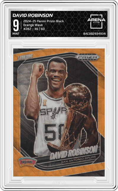 David Robinson 