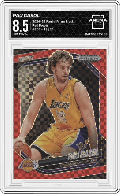 Pau Gasol